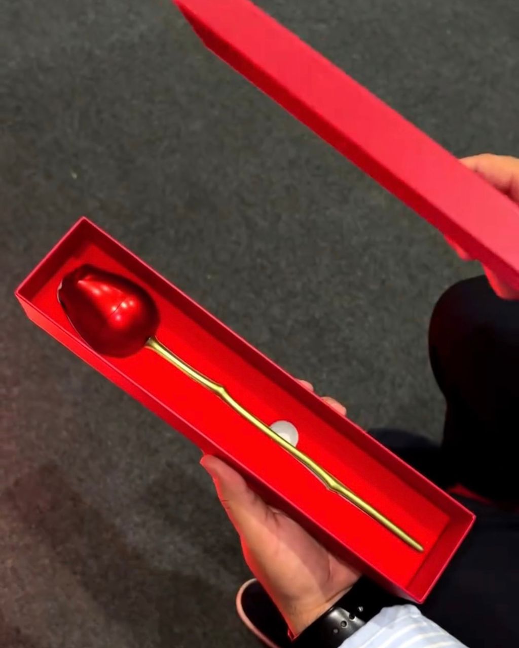 AmourRose™ - With Surprise Necklace