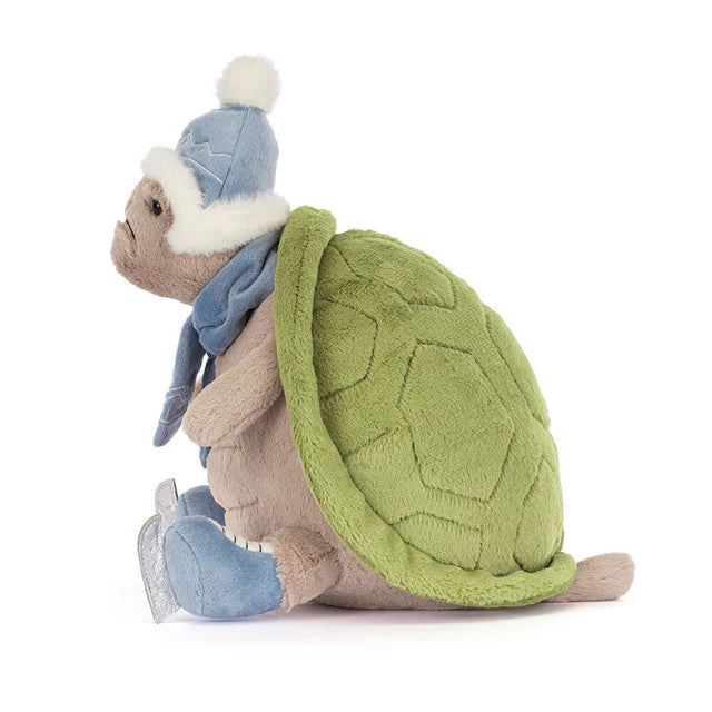 Mr. Timmy Turtle